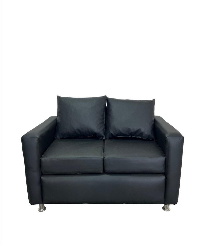 Sofa de 2 Cuerpos